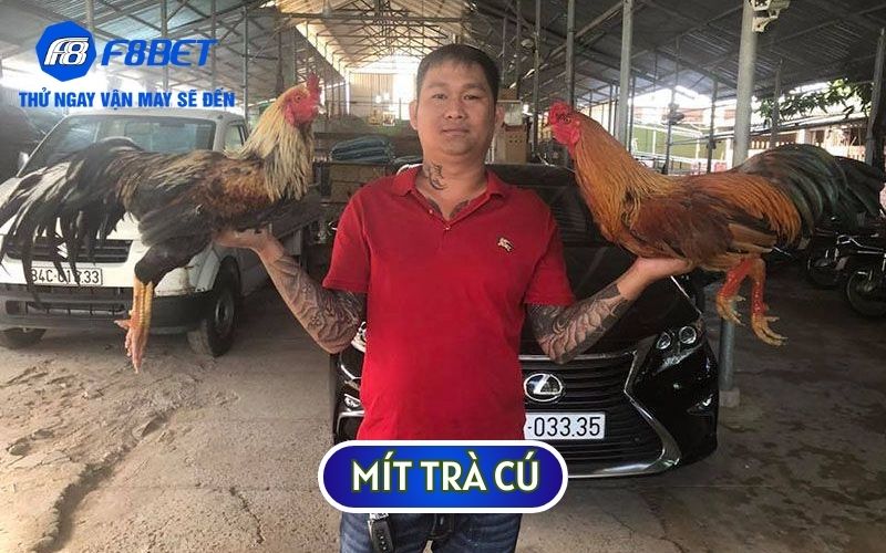 Mít Trà Cú cũng là một đối thủ của Phúc Bình Dương trong TRẬN GÀ 24 TỶ 