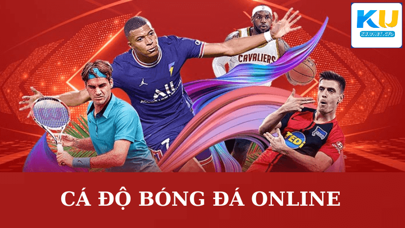 Cá Độ Bóng Đá Online