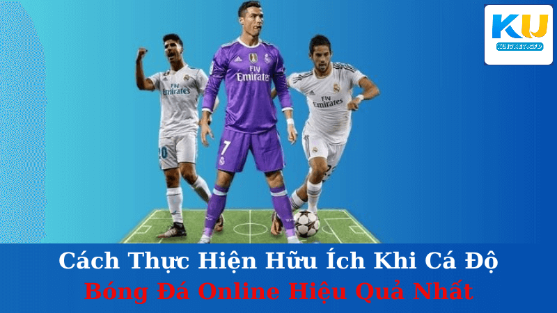 Cá Độ Bóng Đá Online