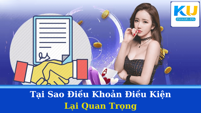 Điều Khoản Điều Kiện